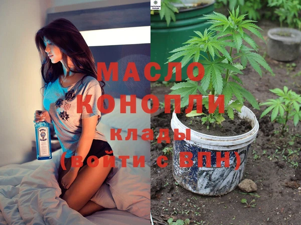 шишки Переславль-Залесский