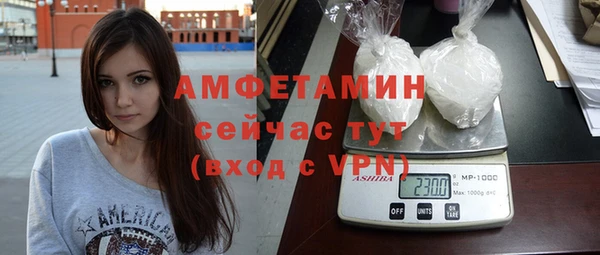 шишки Переславль-Залесский