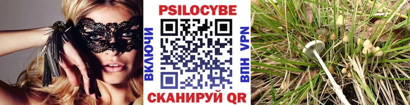 купить наркотики цена  kraken зеркало  Псилоцибиновые грибы Psilocybe  Абаза 